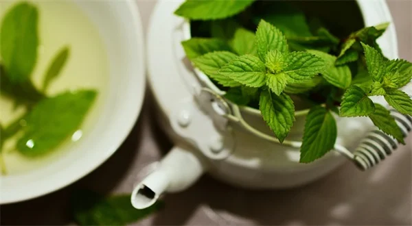 蜂鳥を呼びたいならこのつる植物8選！育て方のコツも紹介