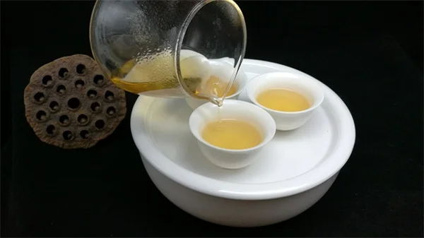 枝豆の収穫時期と方法、プロが教えるコツでもう迷わない